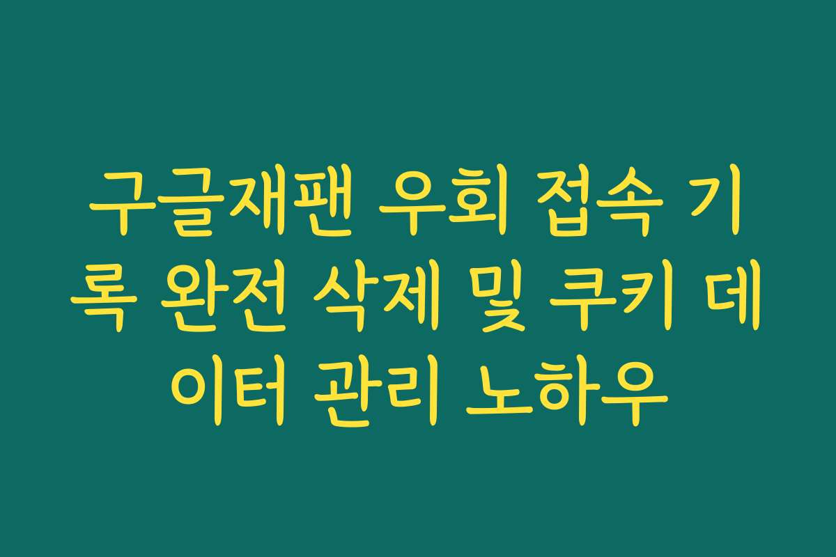 구글재팬 우회 접속 기록 완전 삭제 및 쿠키 데이터 관리 노하우