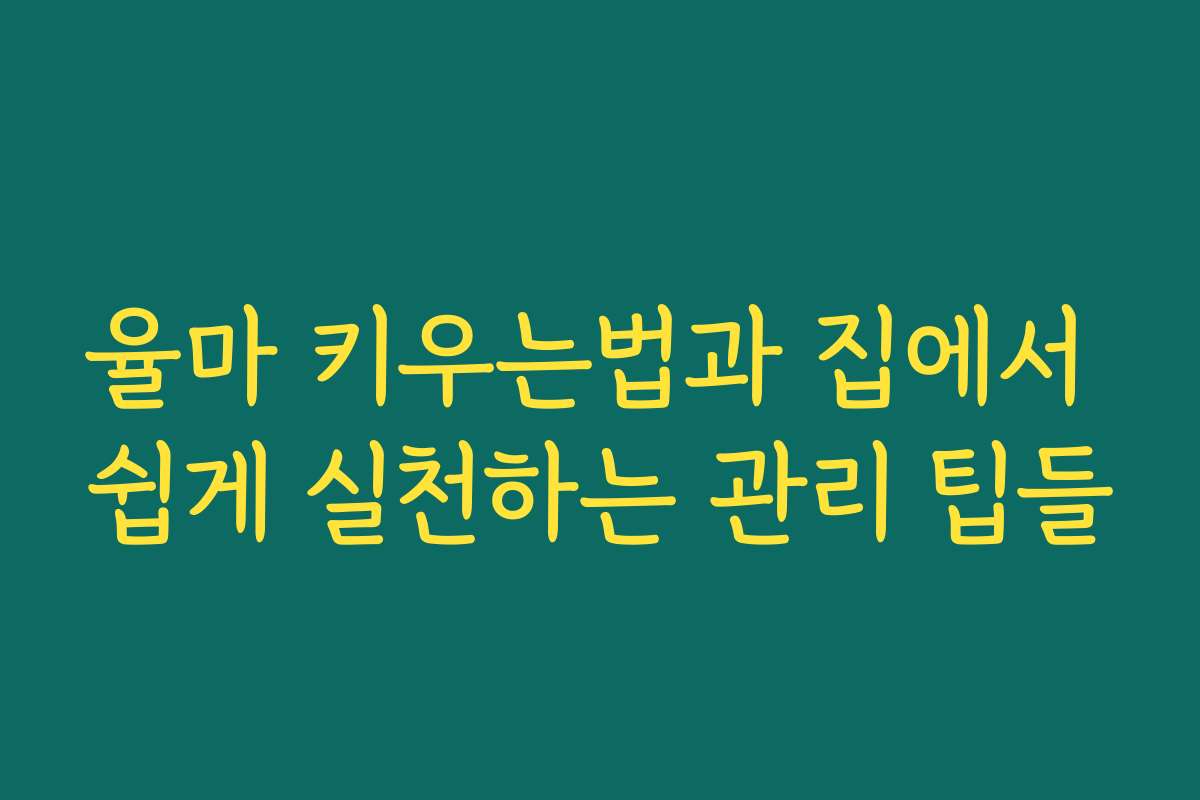 율마 키우는법과 집에서 쉽게 실천하는 관리 팁들