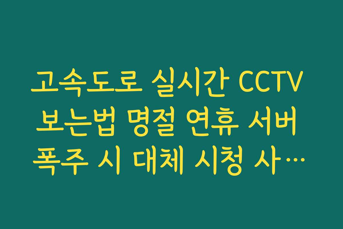 고속도로 실시간 CCTV 보는법 명절 연휴 서버 폭주 시 대체 시청 사이트