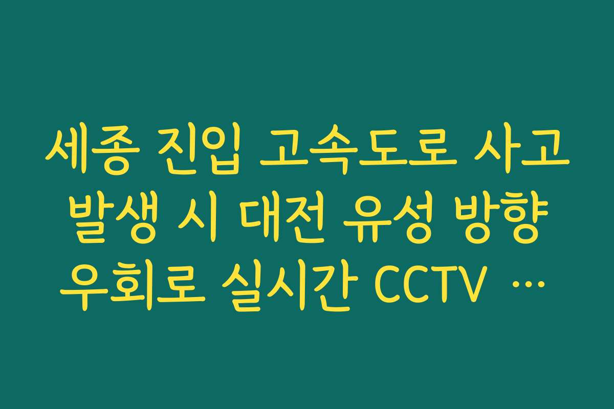 세종 진입 고속도로 사고 발생 시 대전 유성 방향 우회로 실시간 CCTV 확인