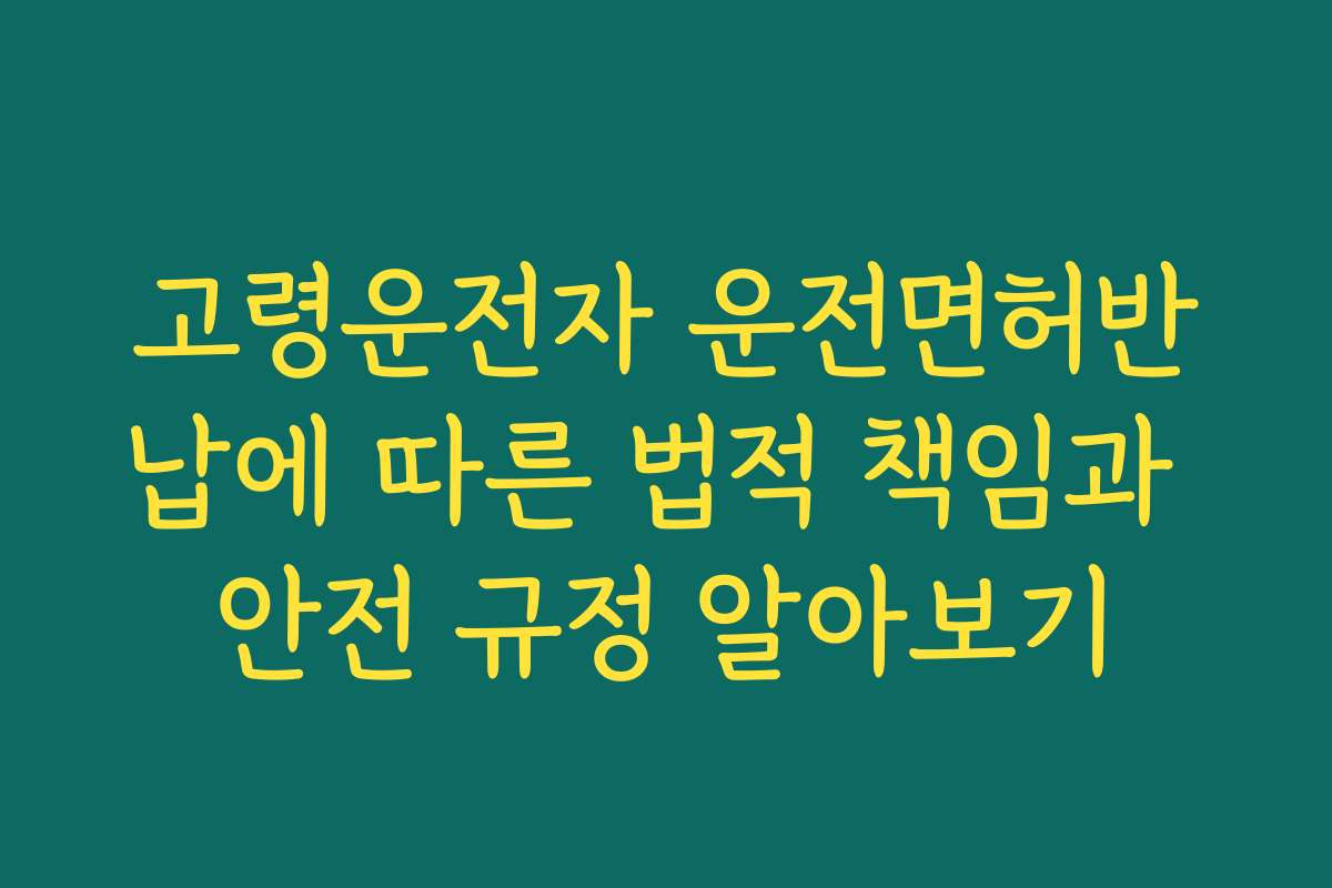 고령운전자 운전면허반납에 따른 법적 책임과 안전 규정 알아보기