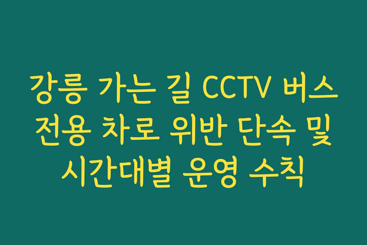 강릉 가는 길 CCTV 버스 전용 차로 위반 단속 및 시간대별 운영 수칙