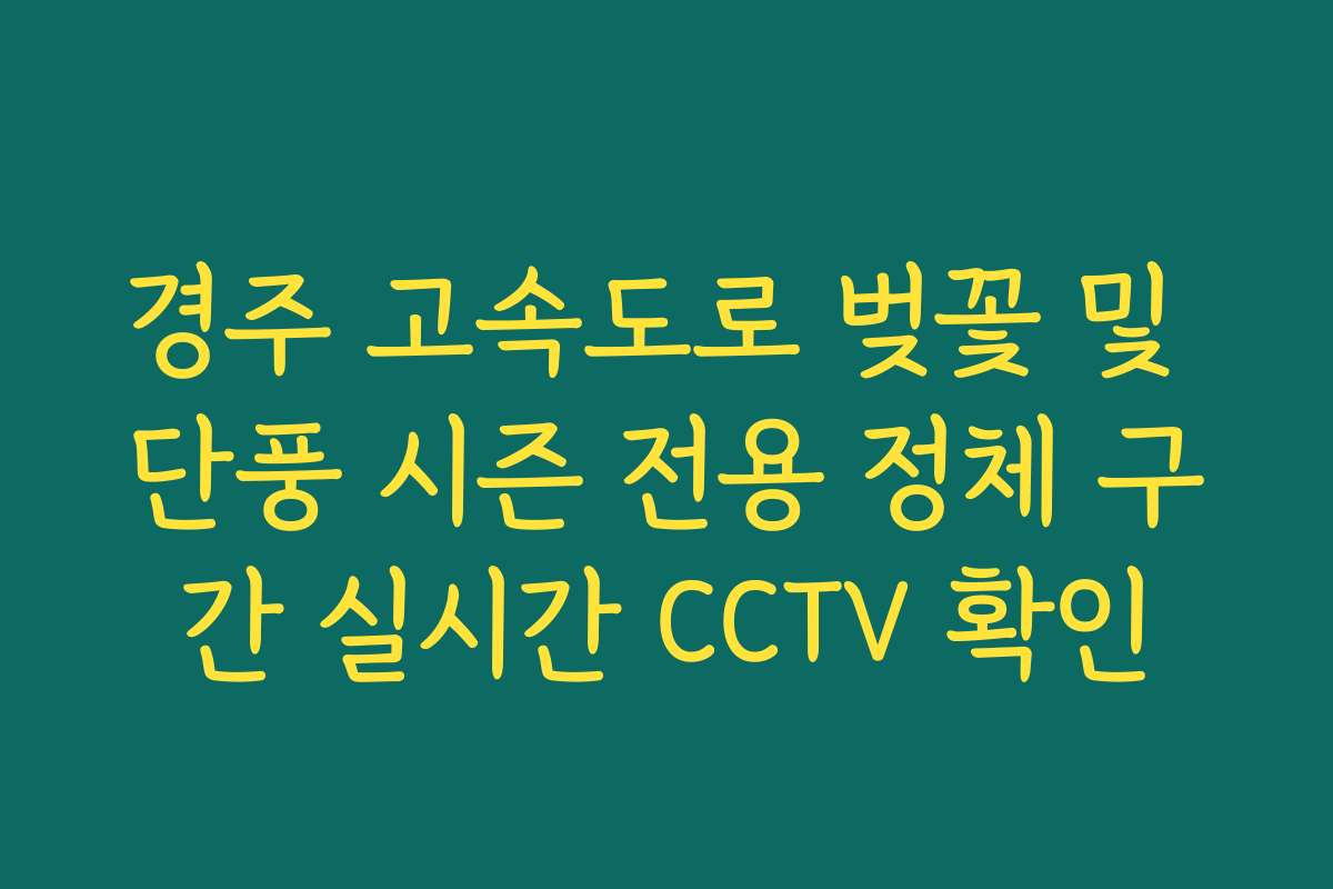 경주 고속도로 벚꽃 및 단풍 시즌 전용 정체 구간 실시간 CCTV 확인
