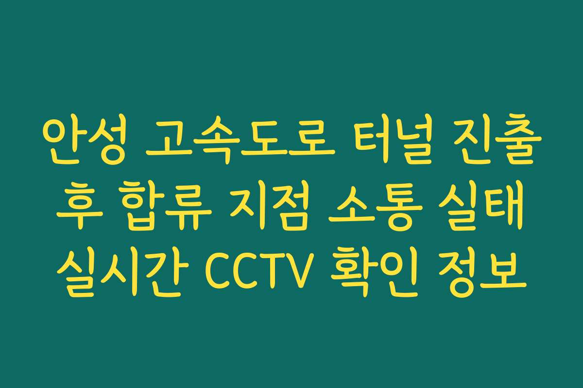 안성 고속도로 터널 진출 후 합류 지점 소통 실태 실시간 CCTV 확인 정보
