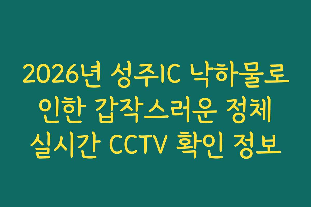 2026년 성주IC 낙하물로 인한 갑작스러운 정체 실시간 CCTV 확인 정보
