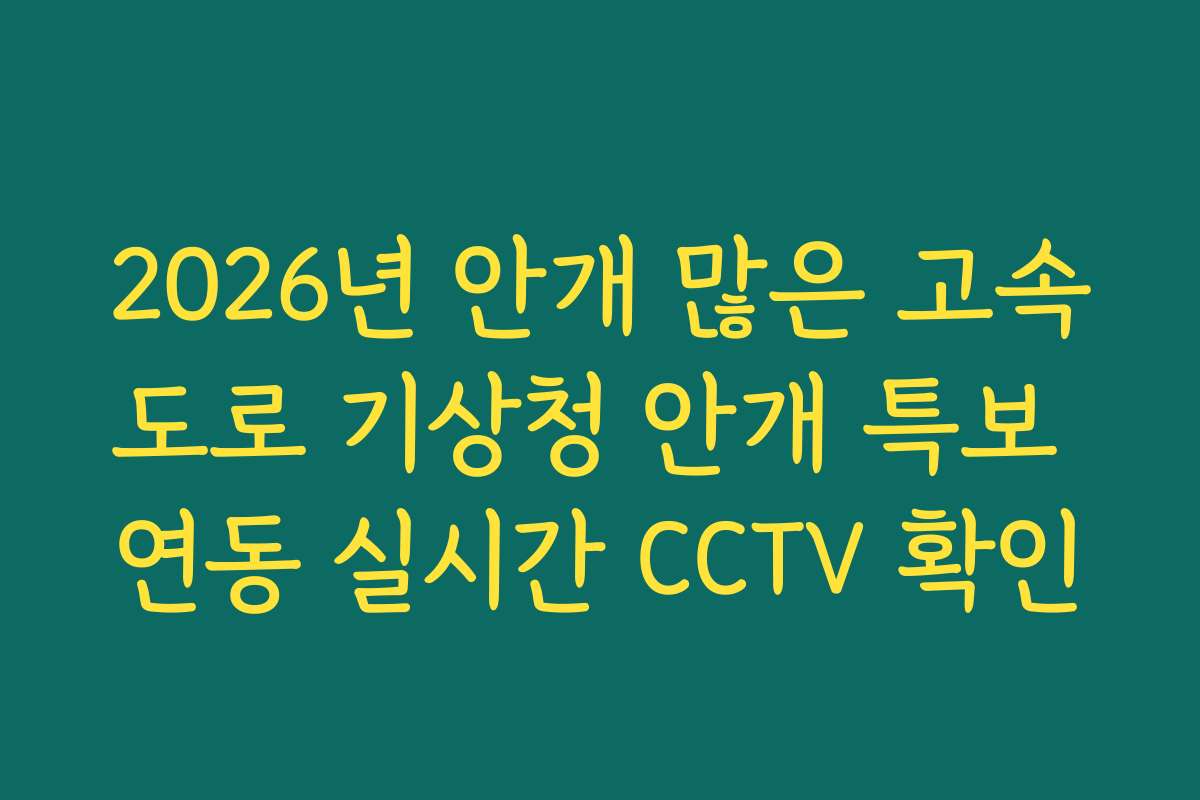 2026년 안개 많은 고속도로 기상청 안개 특보 연동 실시간 CCTV 확인