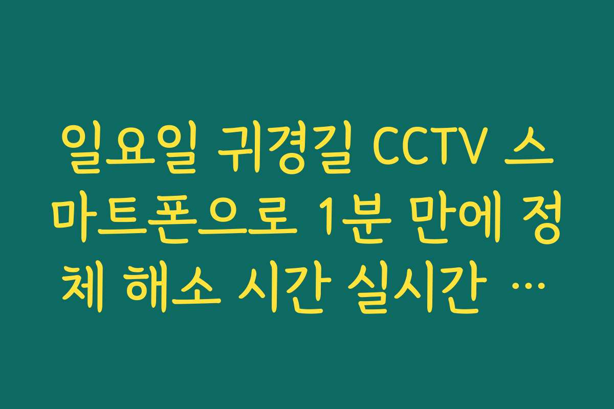 일요일 귀경길 CCTV 스마트폰으로 1분 만에 정체 해소 시간 실시간 유추