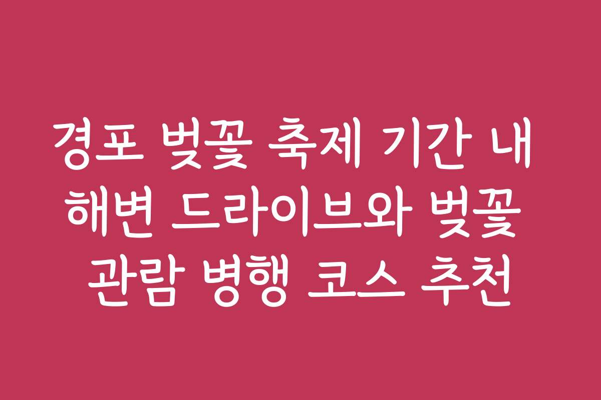 경포 벚꽃 축제 기간 내 해변 드라이브와 벚꽃 관람 병행 코스 추천