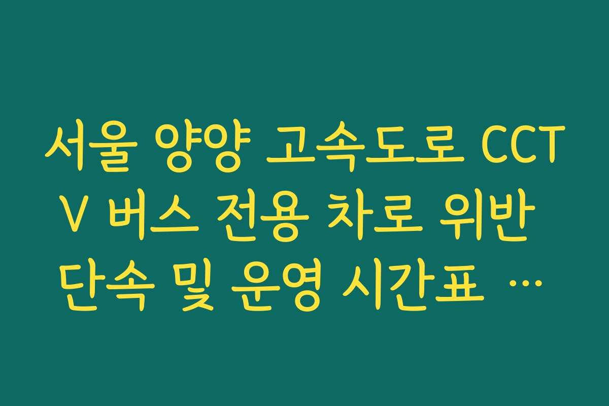 서울 양양 고속도로 CCTV 버스 전용 차로 위반 단속 및 운영 시간표 확인