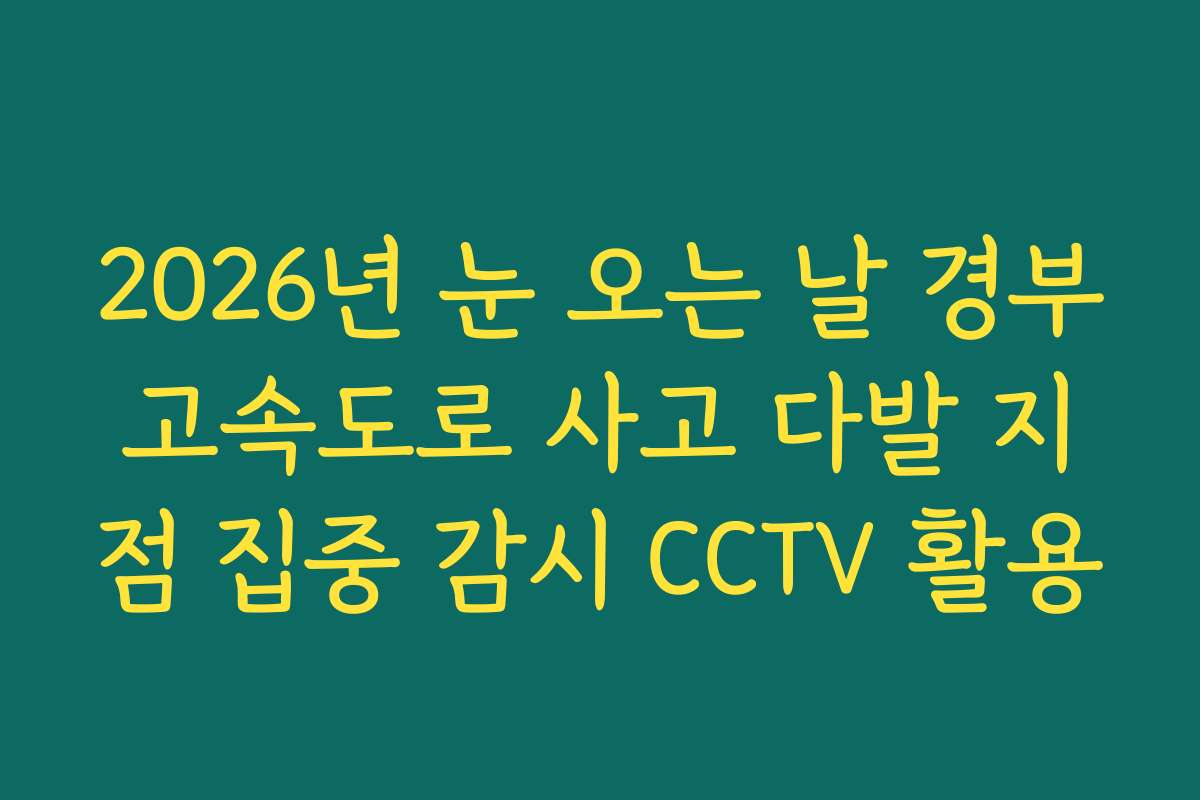 2026년 눈 오는 날 경부고속도로 사고 다발 지점 집중 감시 CCTV 활용