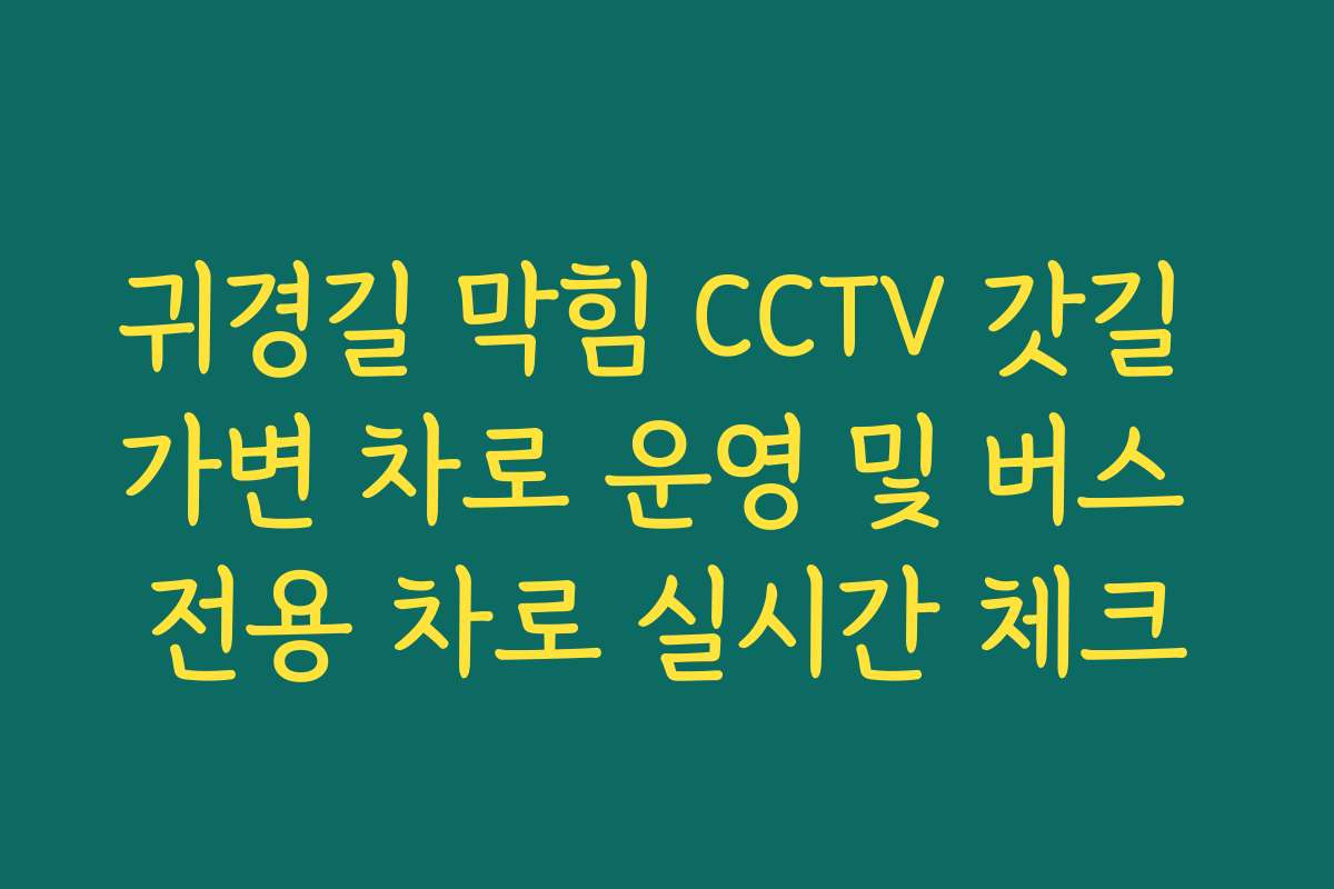 귀경길 막힘 CCTV 갓길 가변 차로 운영 및 버스 전용 차로 실시간 체크