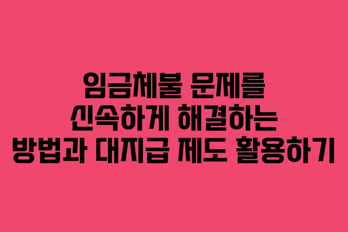 임금체불 문제를 신속하게 해결하는 방법과 대지급 제도 활용하기