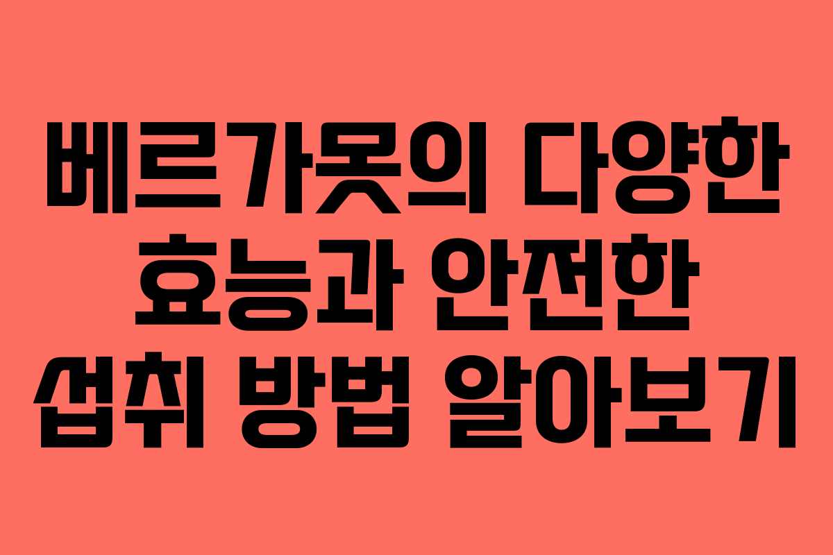 베르가못의 다양한 효능과 안전한 섭취 방법 알아보기