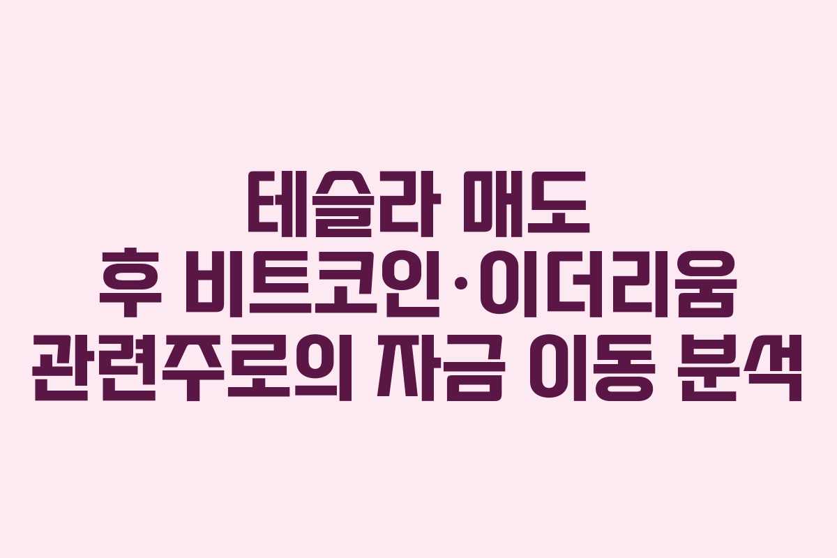 테슬라 매도 후 비트코인·이더리움 관련주로의 자금 이동 분석