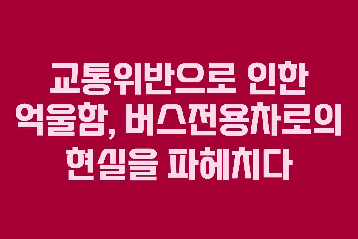 교통위반으로 인한 억울함, 버스전용차로의 현실을 파헤치다