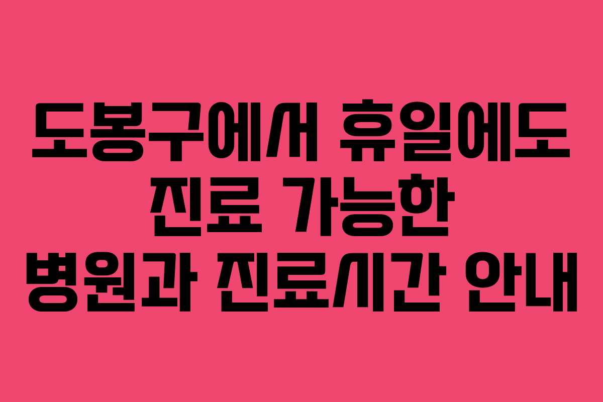 도봉구에서 휴일에도 진료 가능한 병원과 진료시간 안내