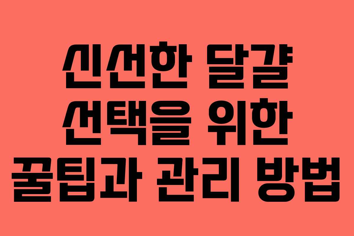 신선한 달걀 선택을 위한 꿀팁과 관리 방법