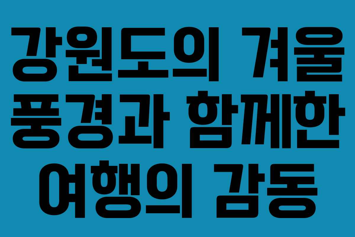강원도의 겨울 풍경과 함께한 여행의 감동
