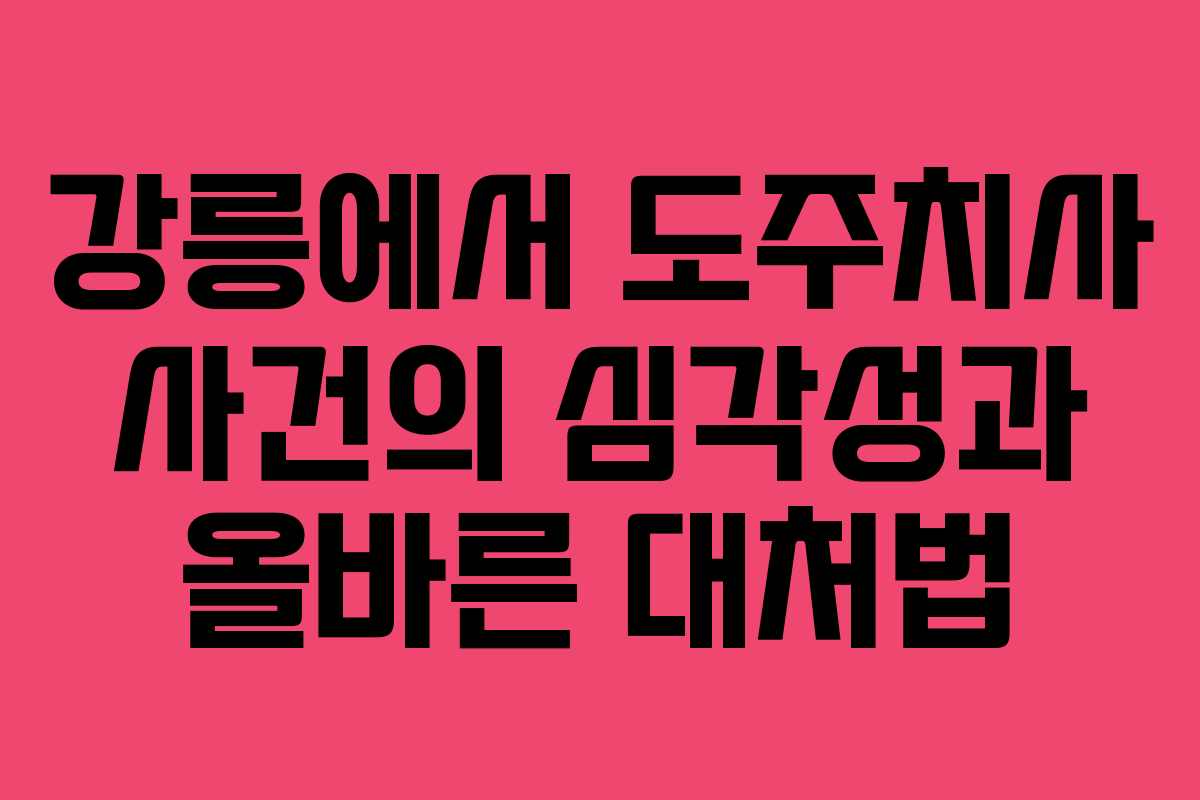 강릉에서 도주치사 사건의 심각성과 올바른 대처법