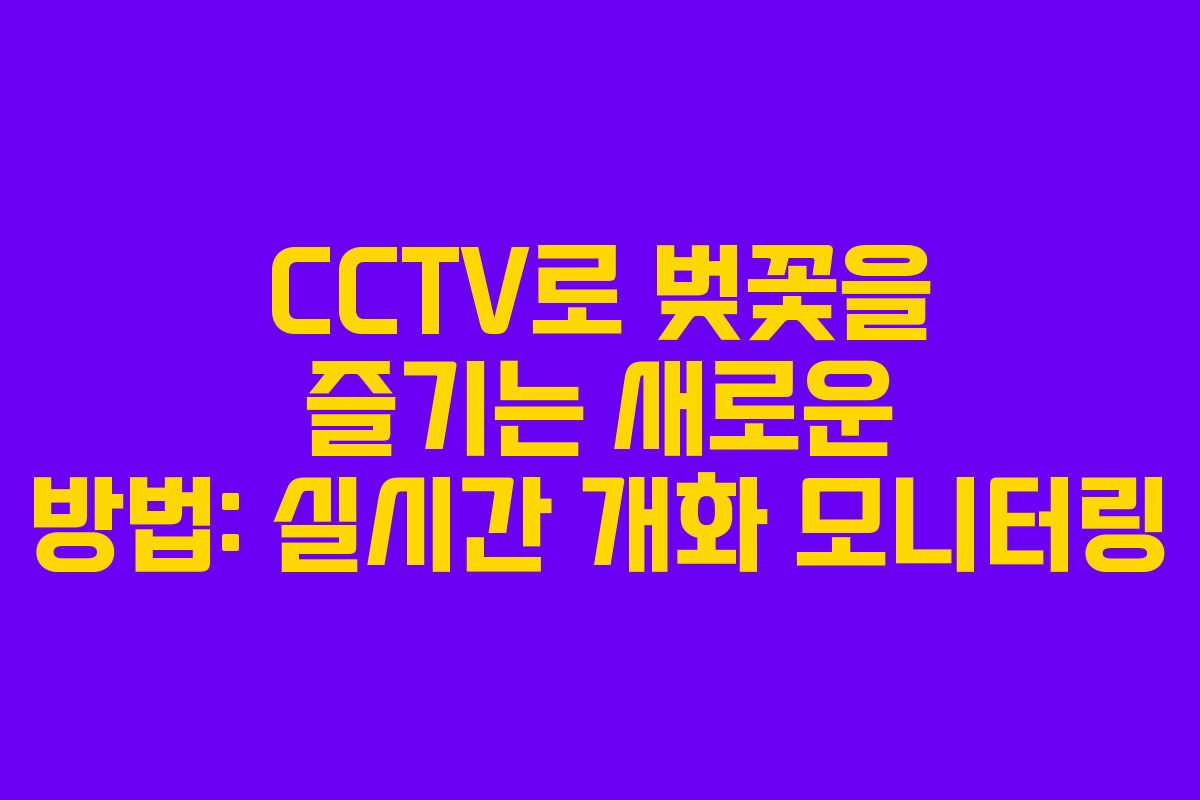 CCTV로 벚꽃을 즐기는 새로운 방법: 실시간 개화 모니터링
