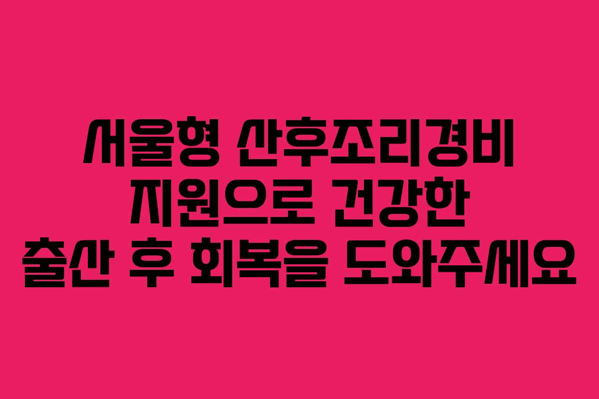 서울형 산후조리경비 지원으로 건강한 출산 후 회복을 도와주세요