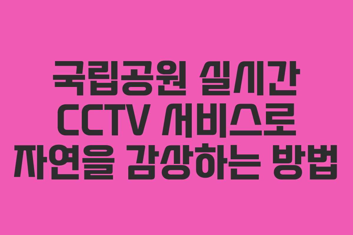 국립공원 실시간 CCTV 서비스로 자연을 감상하는 방법