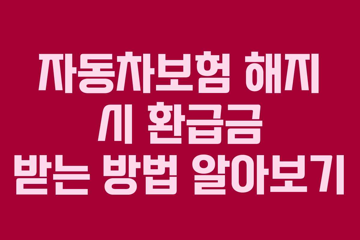 자동차보험 해지 시 환급금 받는 방법 알아보기