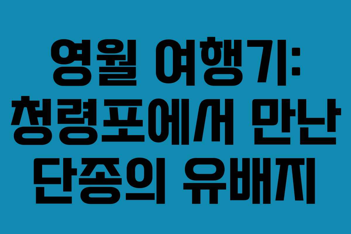 영월 여행기: 청령포에서 만난 단종의 유배지