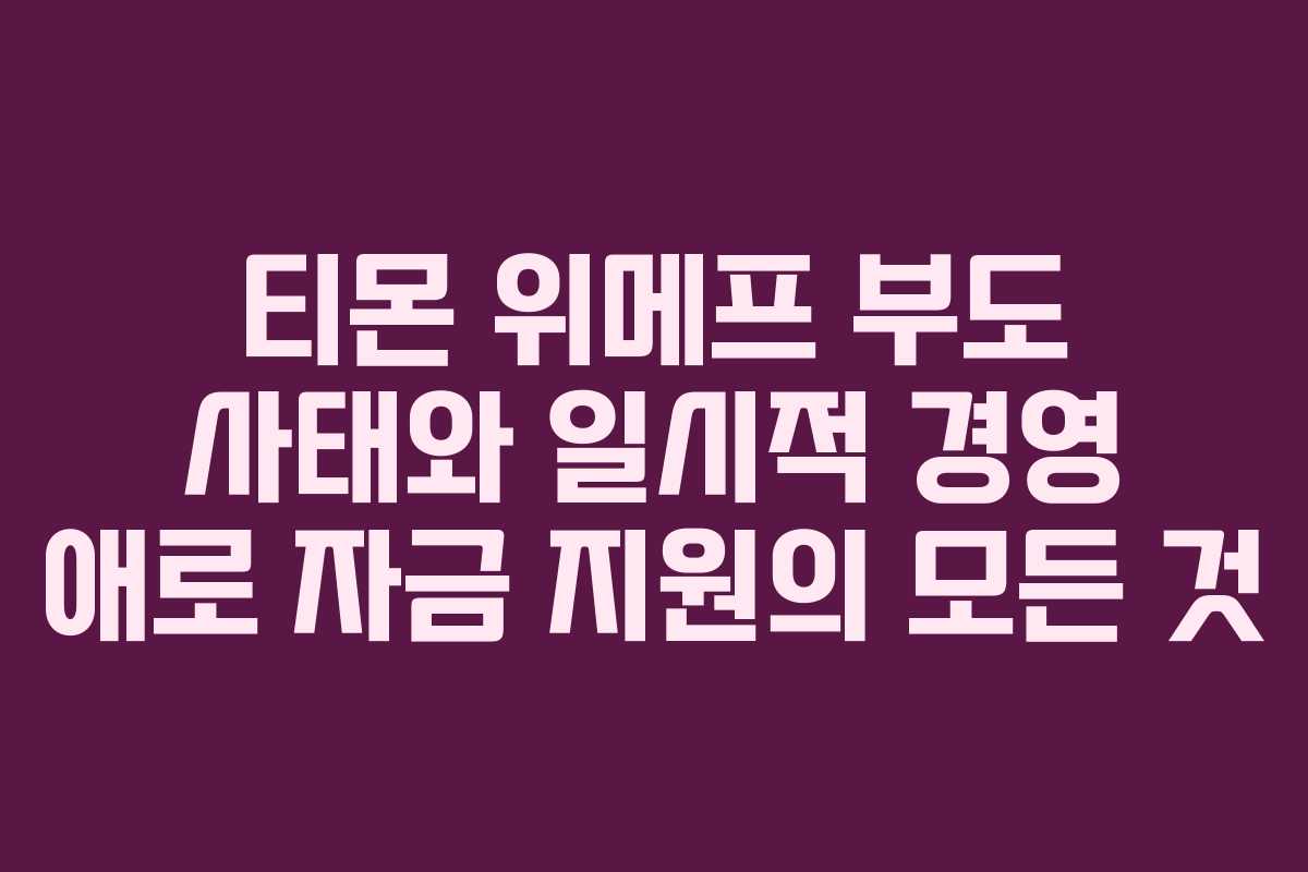 티몬 위메프 부도 사태와 일시적 경영 애로 자금 지원의 모든 것