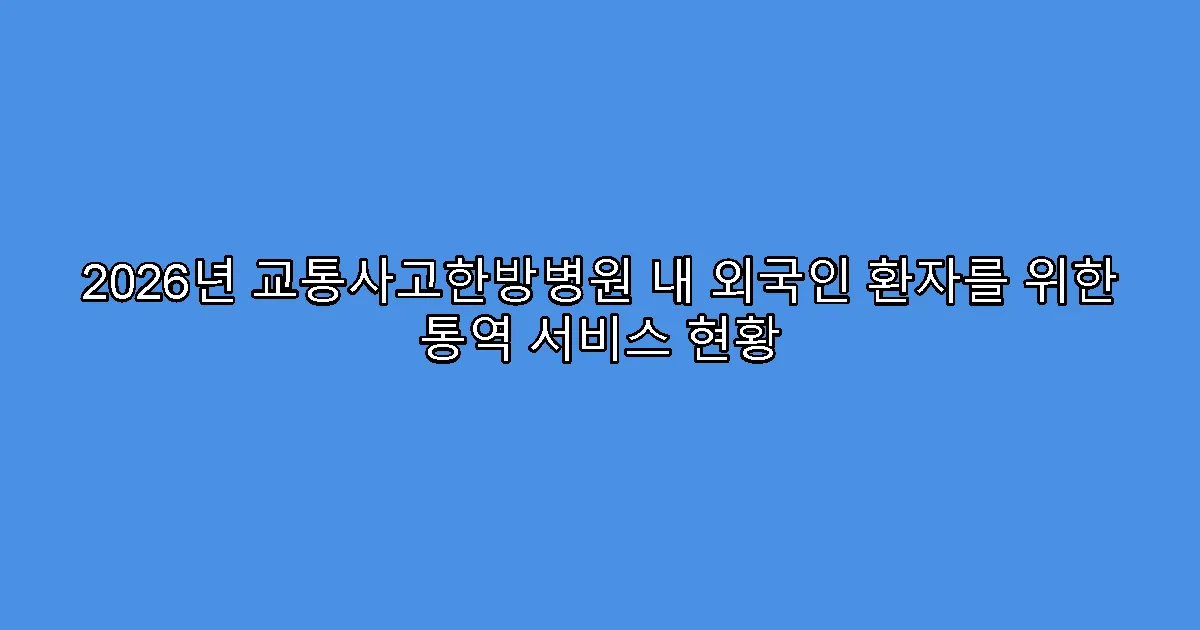 2026년 교통사고한방병원 내 외국인 환자를 위한 통역 서비스 현황