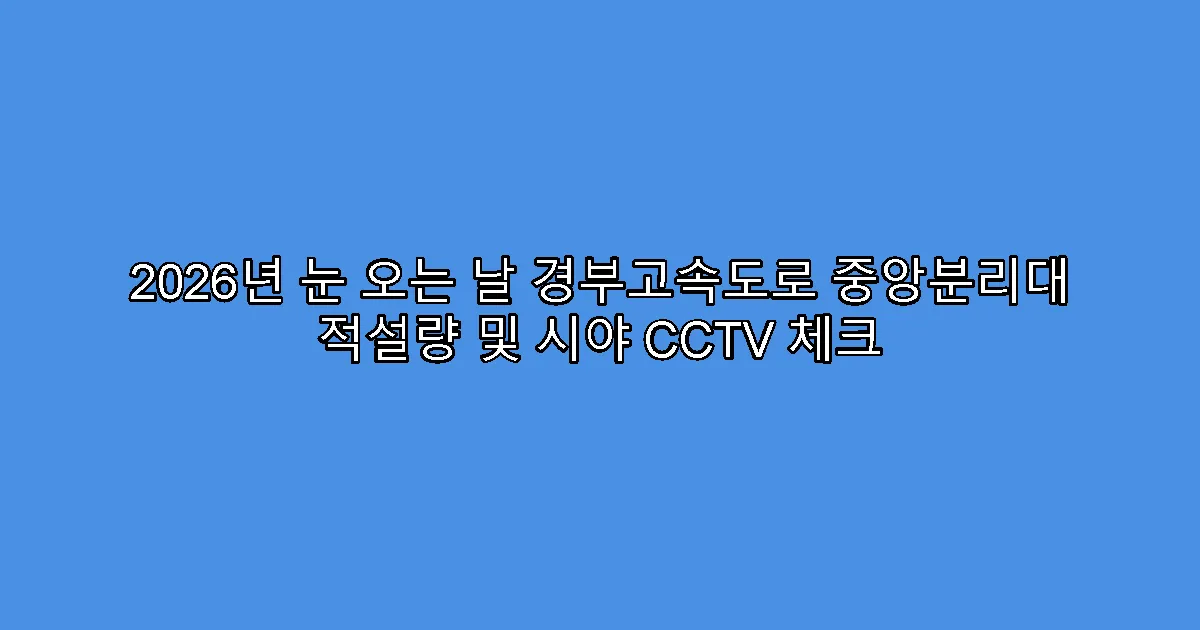 2026년 눈 오는 날 경부고속도로 중앙분리대 적설량 및 시야 CCTV 체크