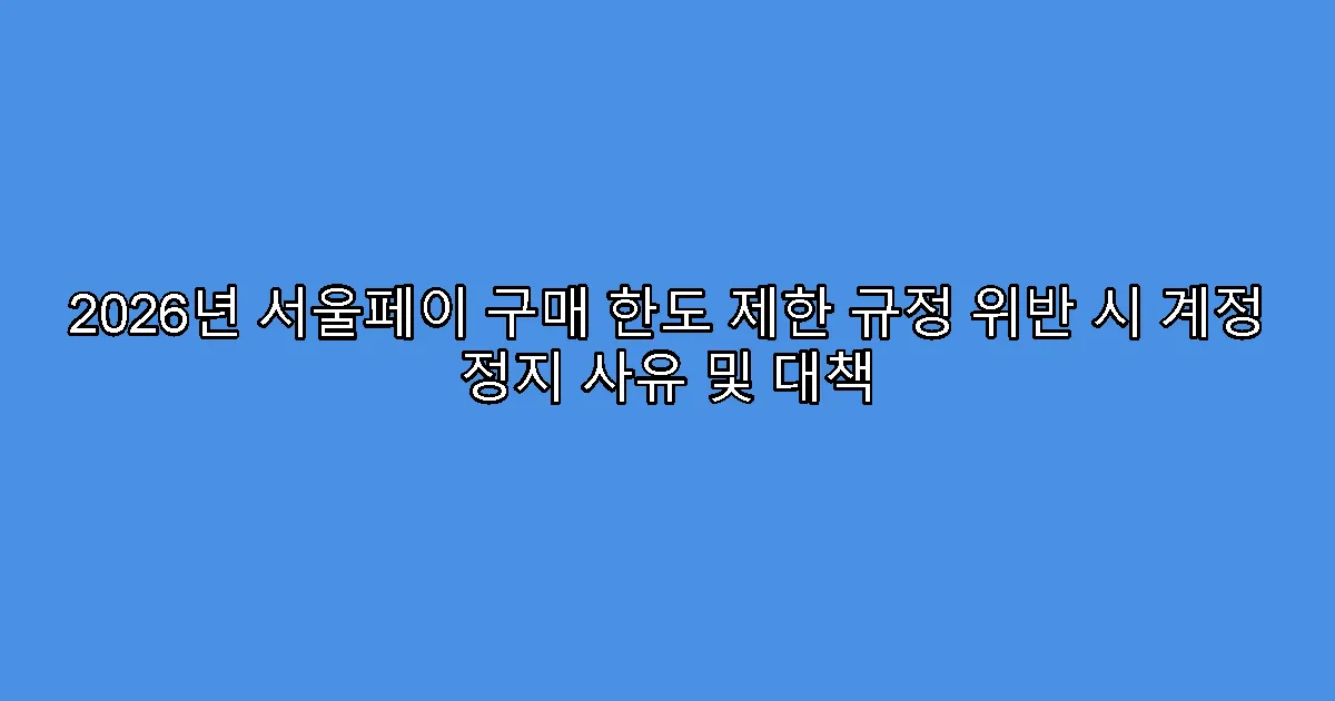 2026년 서울페이 구매 한도 제한 규정 위반 시 계정 정지 사유 및 대책