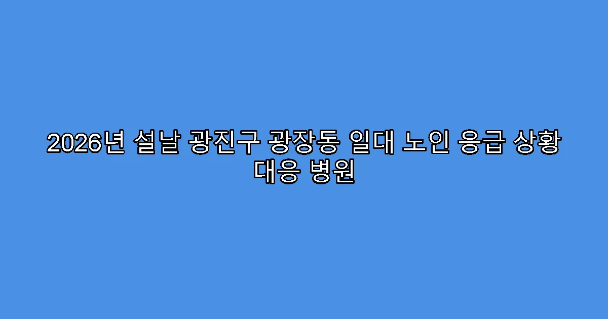 2026년 설날 광진구 광장동 일대 노인 응급 상황 대응 병원