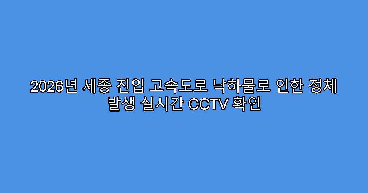 2026년 세종 진입 고속도로 낙하물로 인한 정체 발생 실시간 CCTV 확인