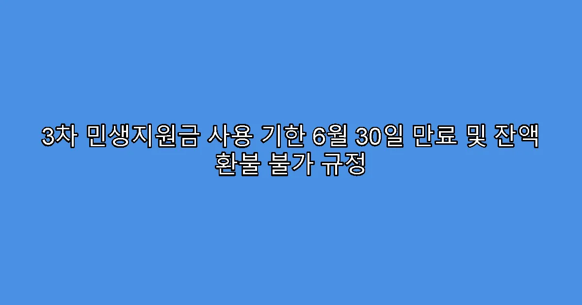 3차 민생지원금 사용 기한 6월 30일 만료 및 잔액 환불 불가 규정