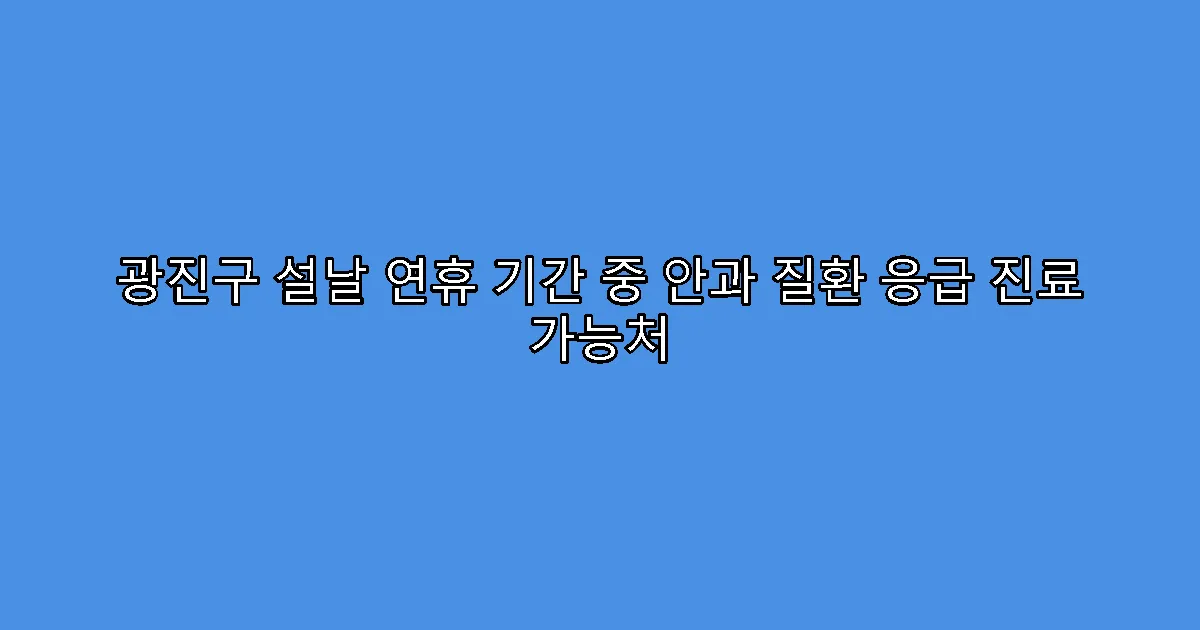 광진구 설날 연휴 기간 중 안과 질환 응급 진료 가능처