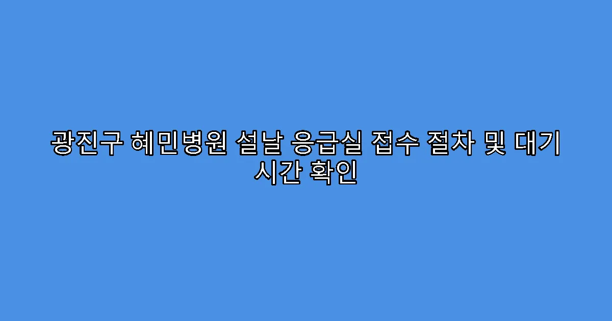 광진구 혜민병원 설날 응급실 접수 절차 및 대기 시간 확인