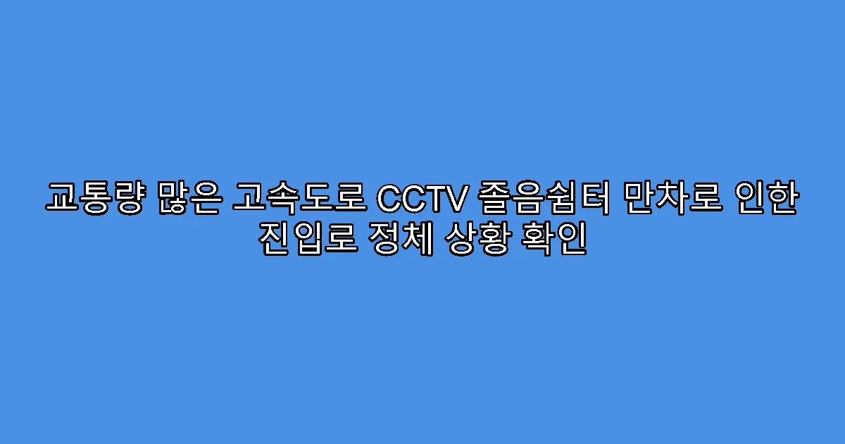 교통량 많은 고속도로 CCTV 졸음쉼터 만차로 인한 진입로 정체 상황 확인