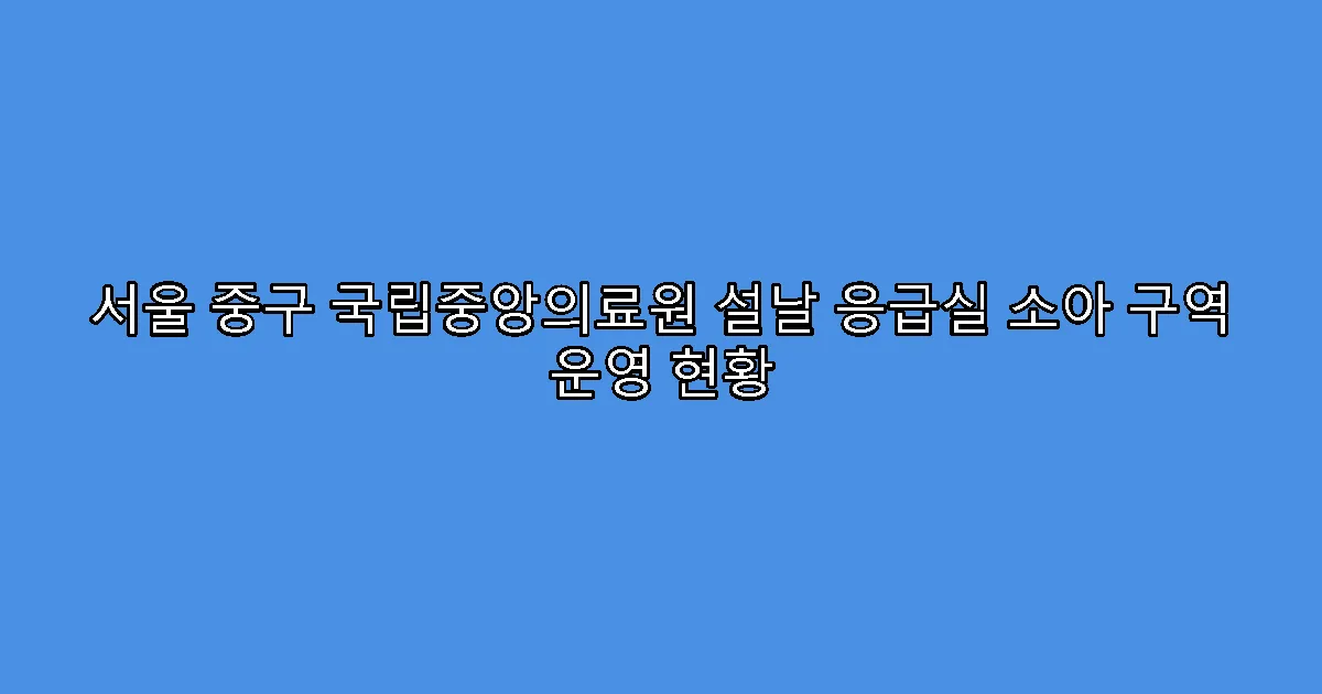 서울 중구 국립중앙의료원 설날 응급실 소아 구역 운영 현황