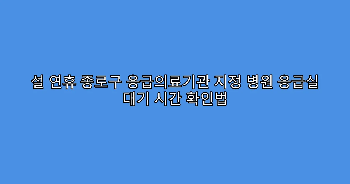 설 연휴 종로구 응급의료기관 지정 병원 응급실 대기 시간 확인법