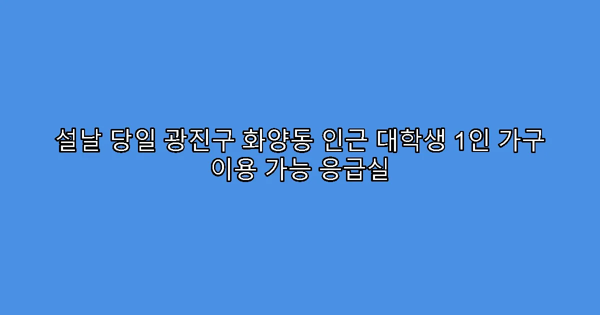 설날 당일 광진구 화양동 인근 대학생 1인 가구 이용 가능 응급실