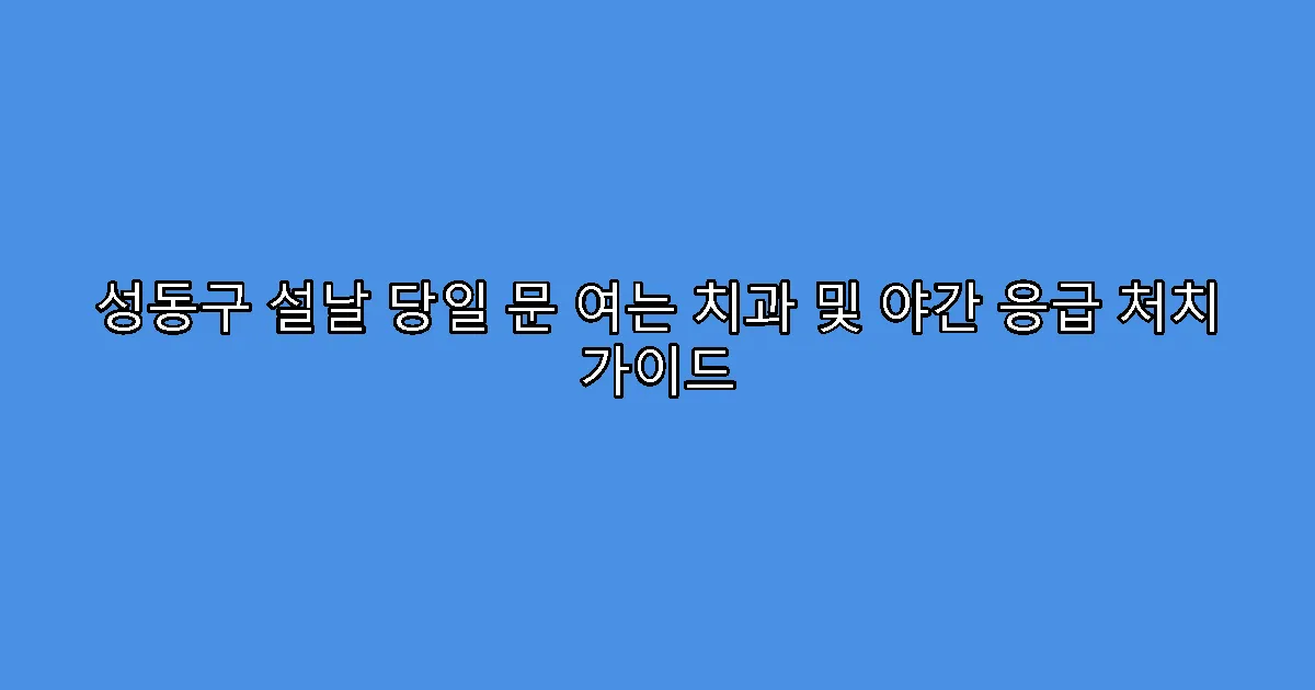 성동구 설날 당일 문 여는 치과 및 야간 응급 처치 가이드