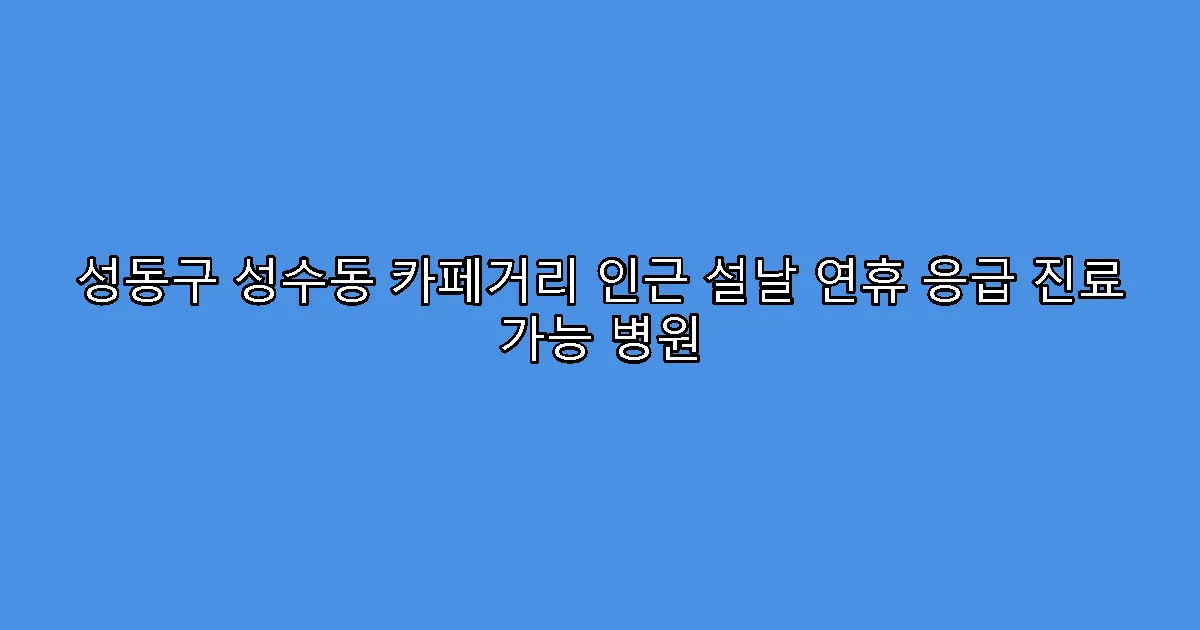 성동구 성수동 카페거리 인근 설날 연휴 응급 진료 가능 병원