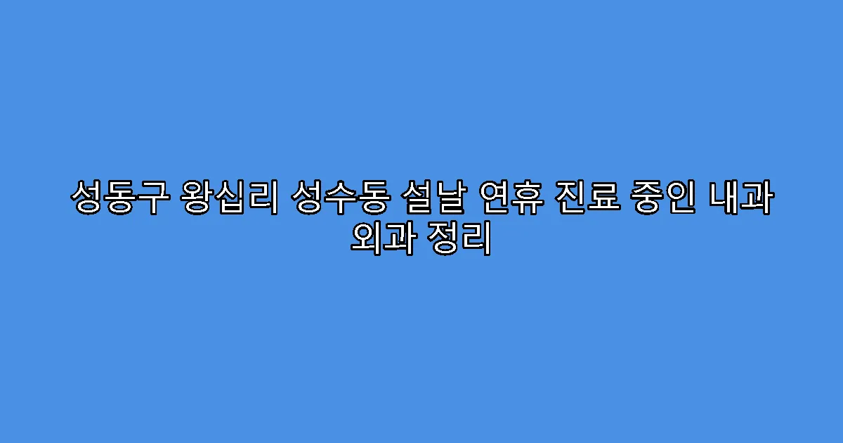 성동구 왕십리 성수동 설날 연휴 진료 중인 내과 외과 정리
