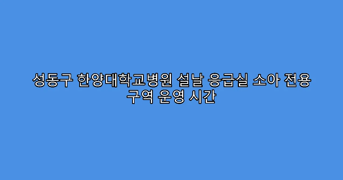 성동구 한양대학교병원 설날 응급실 소아 전용 구역 운영 시간