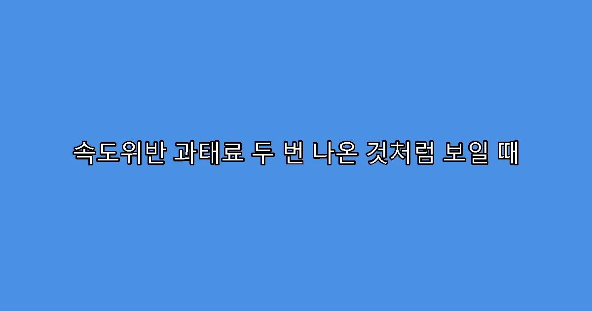속도위반 과태료 두 번 나온 것처럼 보일 때