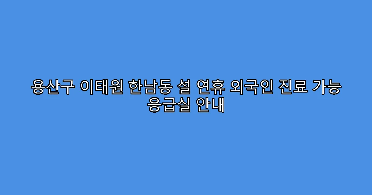 용산구 이태원 한남동 설 연휴 외국인 진료 가능 응급실 안내