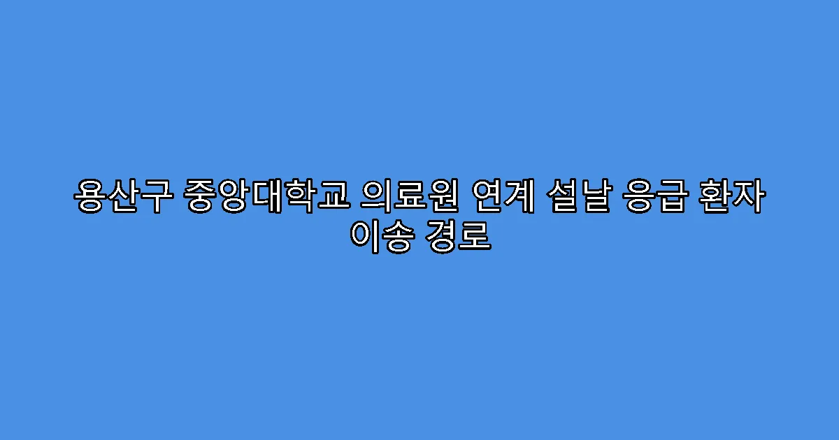 용산구 중앙대학교 의료원 연계 설날 응급 환자 이송 경로