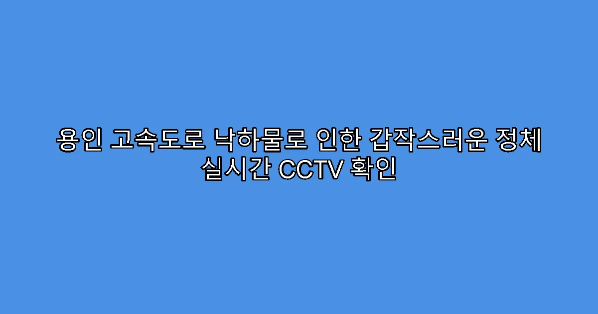 용인 고속도로 낙하물로 인한 갑작스러운 정체 실시간 CCTV 확인