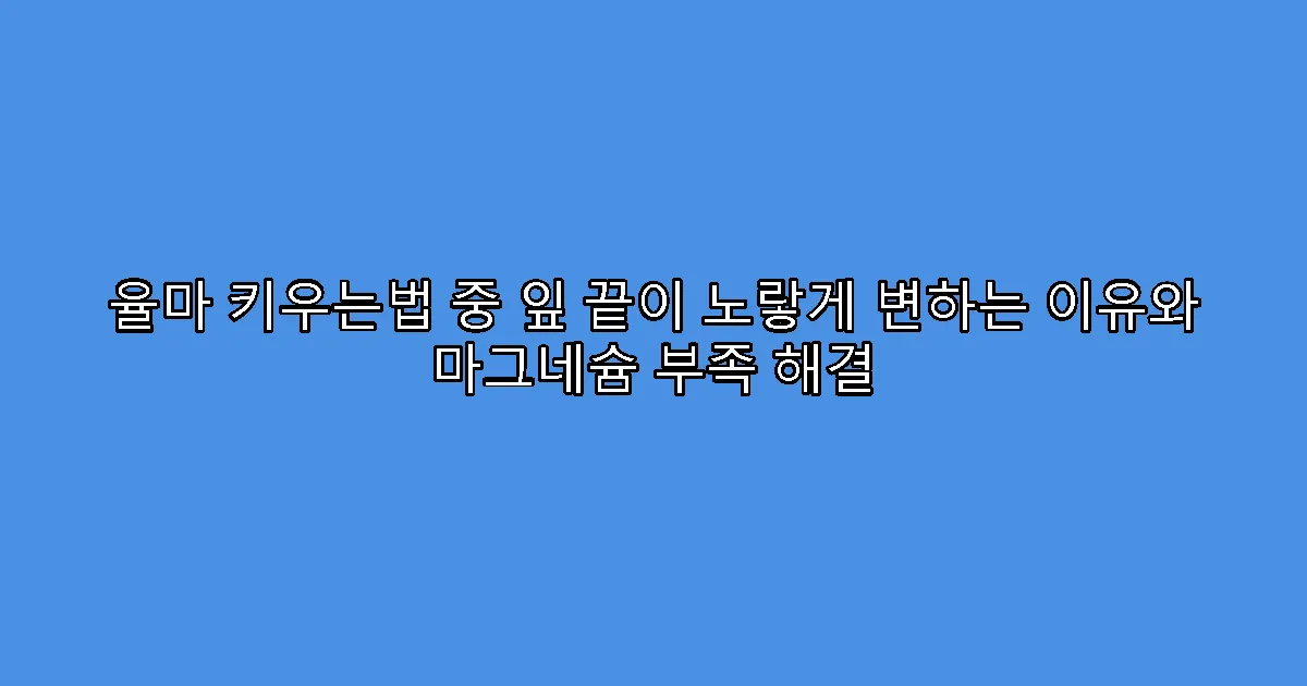 율마 키우는법 중 잎 끝이 노랗게 변하는 이유와 마그네슘 부족 해결